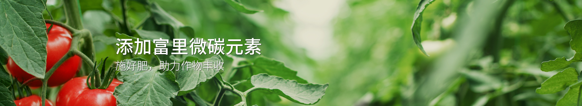 液體水溶肥