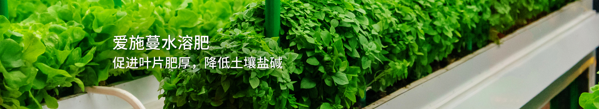粉劑水溶肥