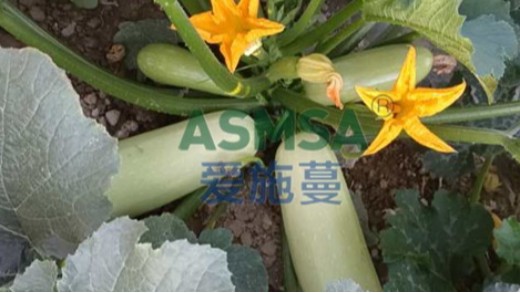 水溶肥排行榜靠譜不？今天來說說
