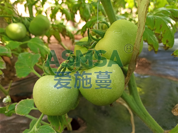 水溶肥怎么使用更好？