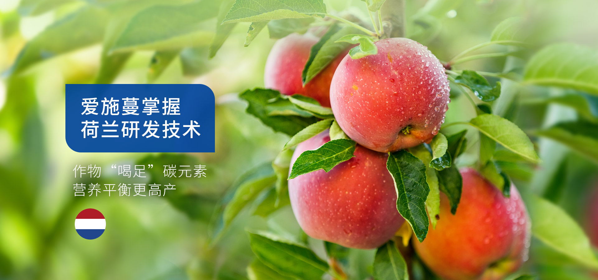 愛(ài)施蔓掌握荷蘭研發(fā)技術(shù)
