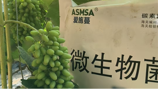 微生物菌劑在葡萄種植上使用效果如何？