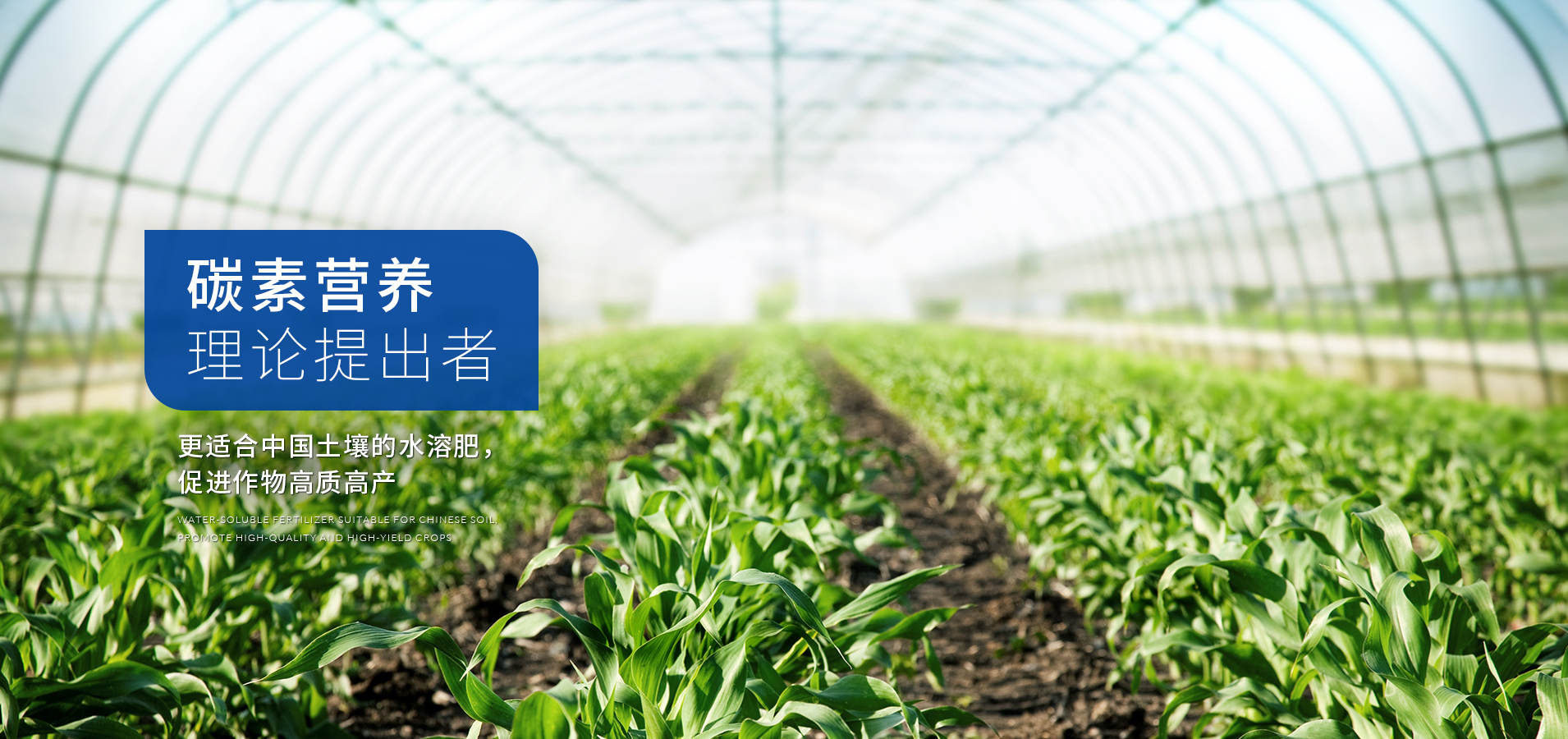 愛(ài)施蔓 碳素營(yíng)養(yǎng)理論提出者