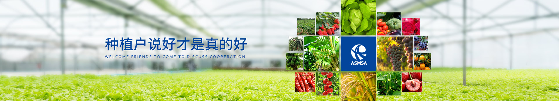 愛施蔓 種植戶說好才是真的好